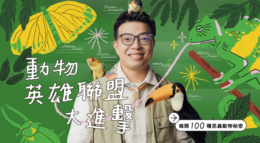 動物英雄聯盟大進擊｜揭開100種昆蟲動物的秘密