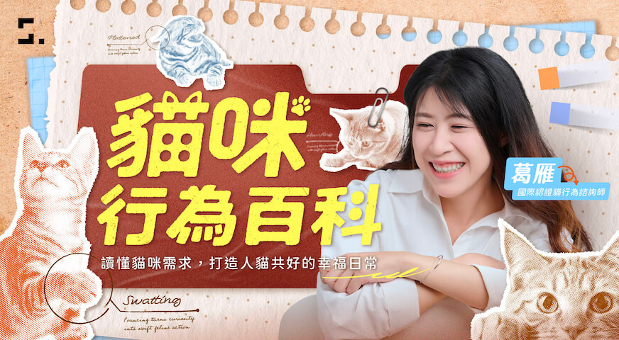 貓咪行為百科｜讀懂貓咪需求，打造人貓共好的幸福日常